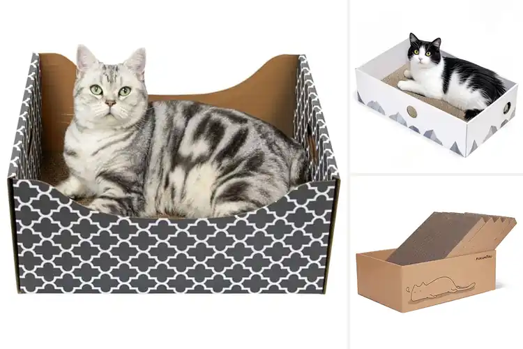 Detailed view of Best Heavy Duty Scratching Boxes: Cat-Approved Durability