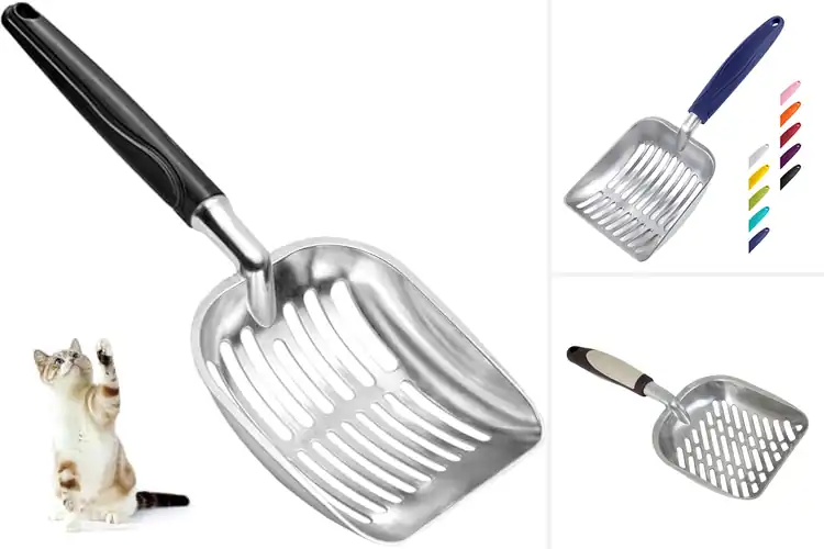 Detailed view of Best Heavy Mess Scraper Litter Scoop