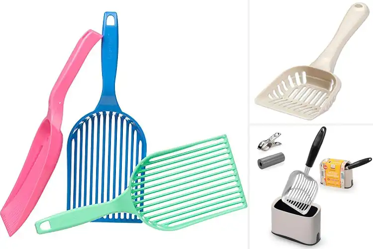 Detailed view of Best Heavy Mess Scraper Litter Scoops