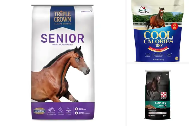Detailed view of Best High Fat Horse Feeds