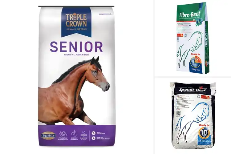 Detailed view of Best High Fiber Horse Feeds