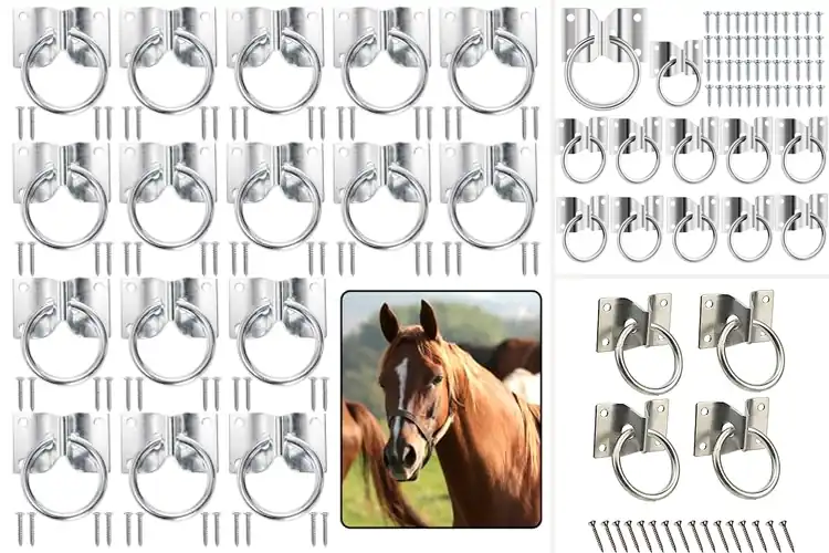 Detailed view of Best Hitching Rings: Secure Your Livestock with Ease