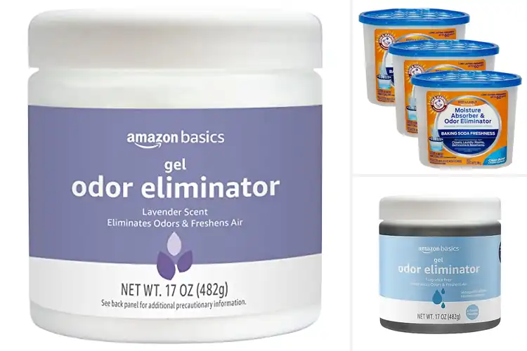 Detailed view of Best Home Deodorizers