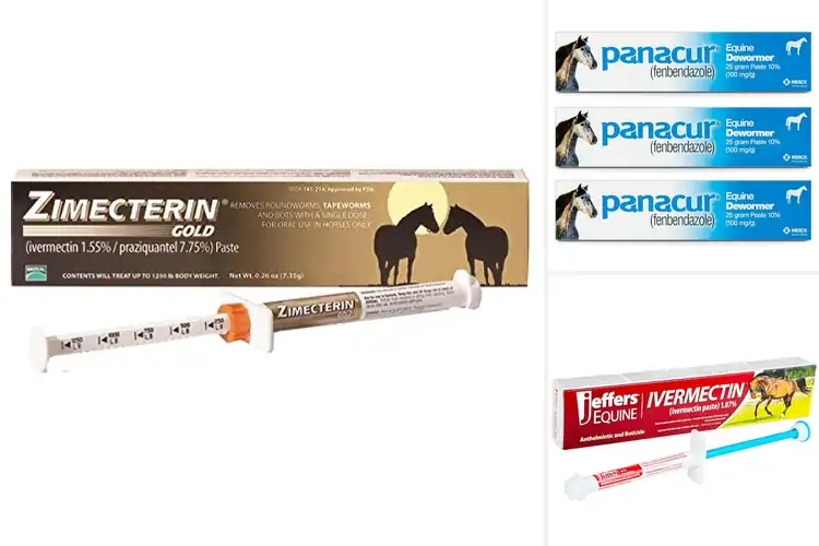 Detailed view of Best Horse Dewormers