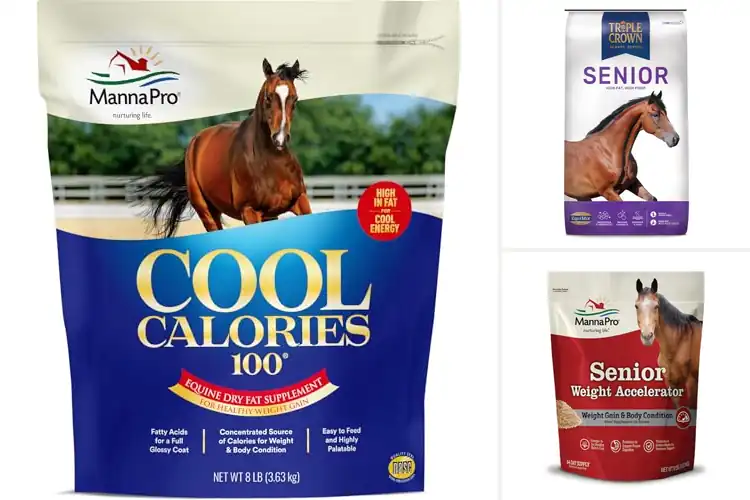 Detailed view of Best Horse Feeds For Underweight Horses