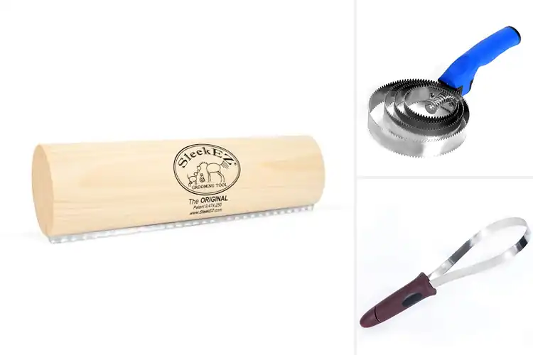 Detailed view of Best Horse Grooming Tools