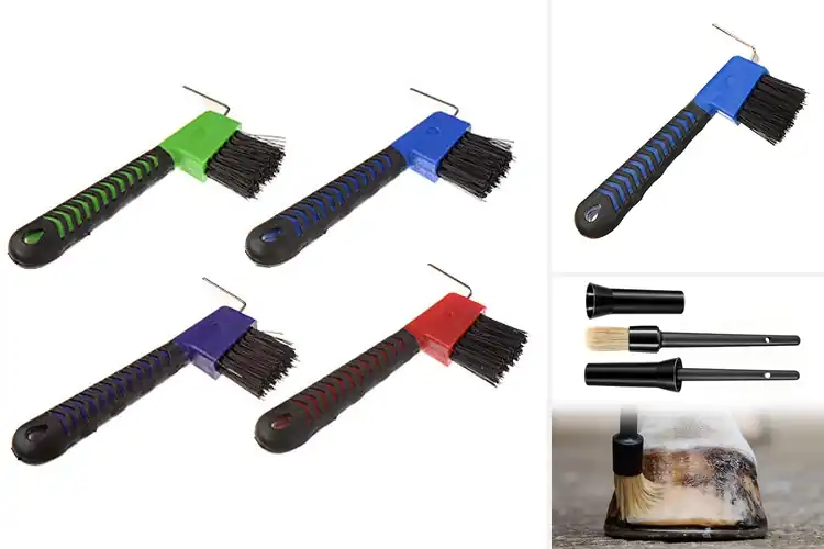 Detailed view of Best Horse Hoof Brushes: Top 10 Picks for Healthy Hooves