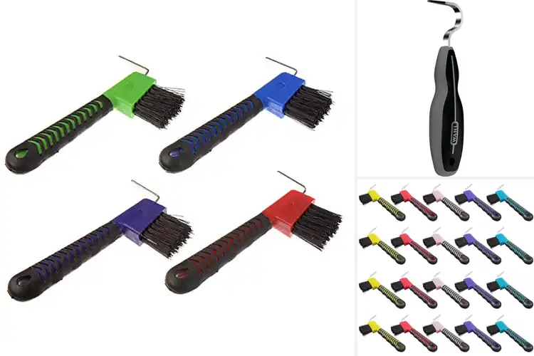 Detailed view of Best Horse Hoof Picks