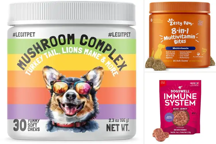 Detailed view of Best Immune Boosting Dog Treats