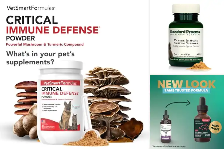 Detailed view of Best Immune System Support For Dogs