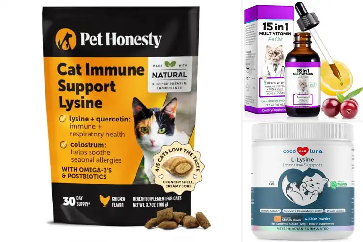 Detailed view of Best Immunity Supplements For Cats