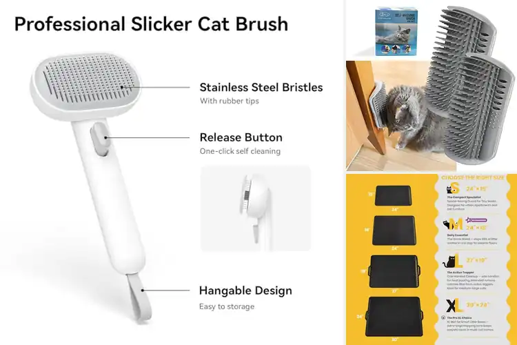 Detailed view of Best Indoor Cat Accessories: Happy Cat Haven