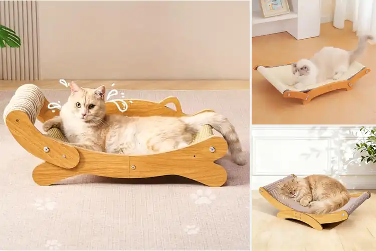 Detailed view of Best Indoor Cat Bed Scratcher: Top Picks for Cozy Comfort