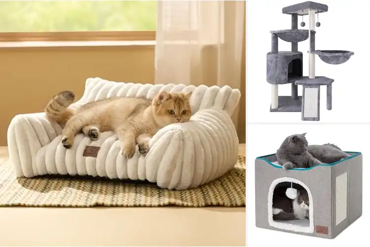 Detailed view of Best Indoor Cat Furniture