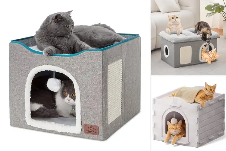 Detailed view of Best Indoor Cat Houses