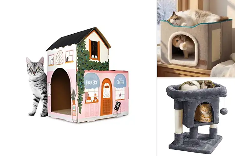 Detailed view of Best Indoor Cat Scratcher House: Top 10 Cozy & Durable Picks
