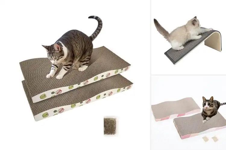 Detailed view of Best Indoor Cat Scratcher
