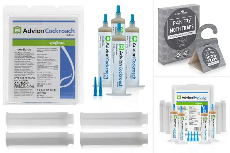 Detailed view of Best Infestation Preventions