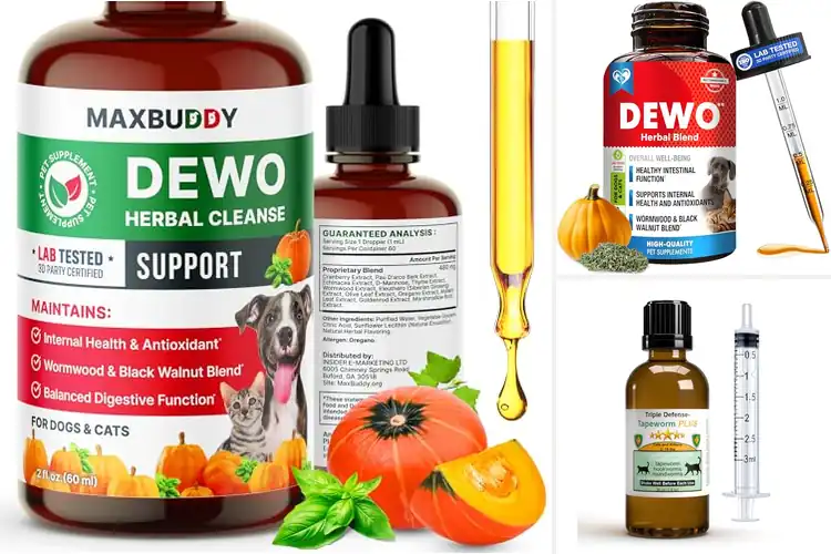 Detailed view of Best Intestinal Worm Prevention For Cats