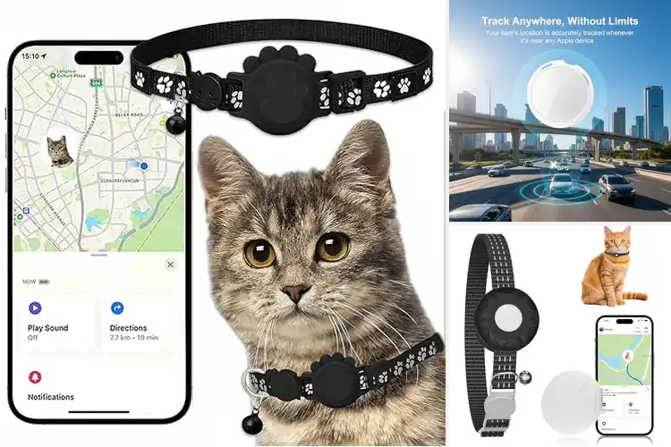 Detailed view of Best iOS Find My Cat Tracker: Top 10 Picks for Peace of Mind