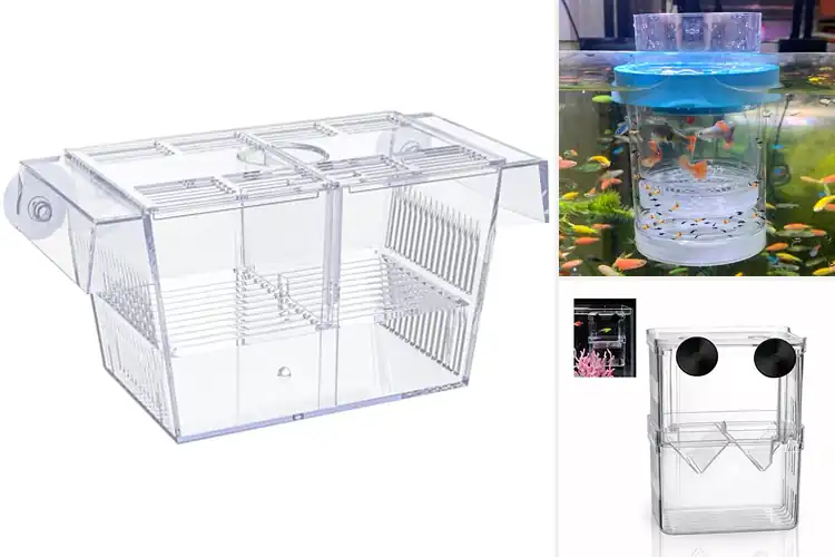 Detailed view of Best Isolation Tanks For Sick Fish