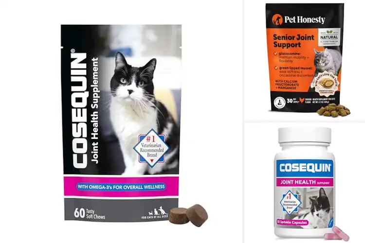 Detailed view of Best Joint Supplements For Cats