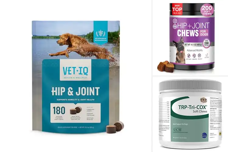 Detailed view of Best Joint Support Chews for Dogs