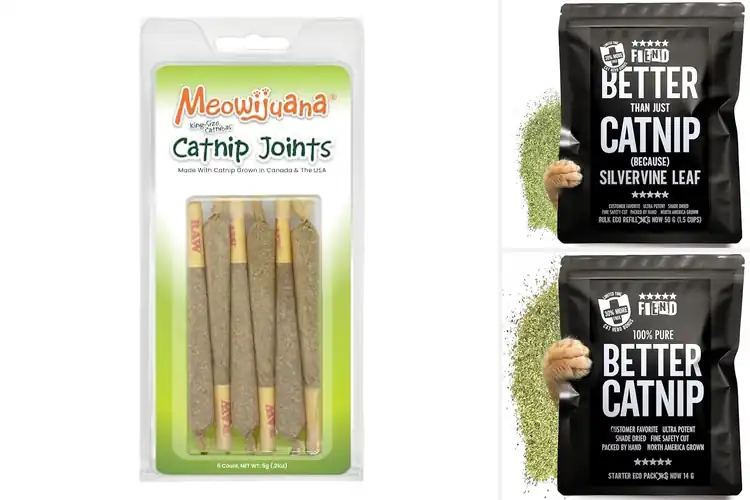 Detailed view of Best King Size Catnip: Your Cat’s Ultimate Bliss