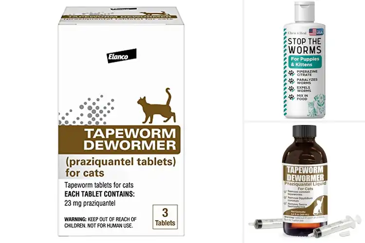Detailed view of Best Kitten Dewormers