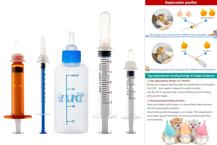 Detailed view of Best Kitten Feeding Bottles