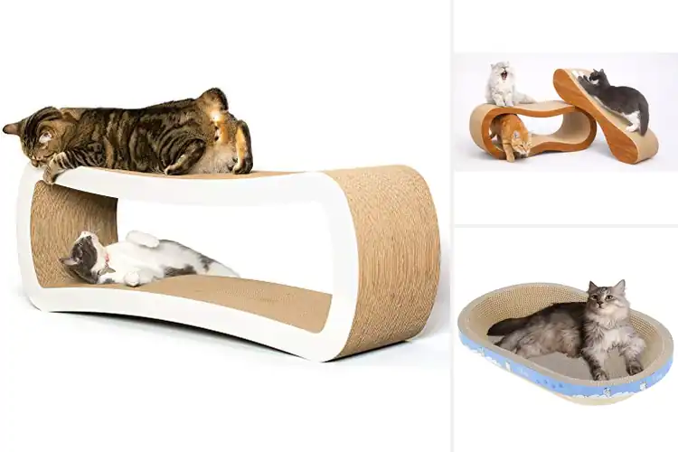 Detailed view of Best Large Cardboard Cat Scratcher