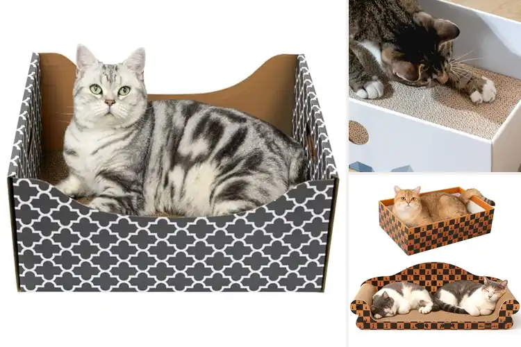 Detailed view of Best Large Cat Scratcher Boxes: Top 10 Picks for Happy Cats