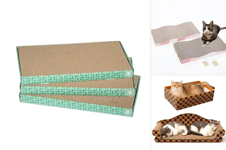 Detailed view of Best Large Cat Scratchers