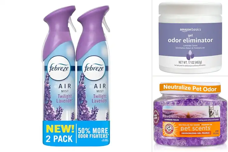 Detailed view of Best Lavender Scent Deodorizer: 10 Fresh Picks for Any Room