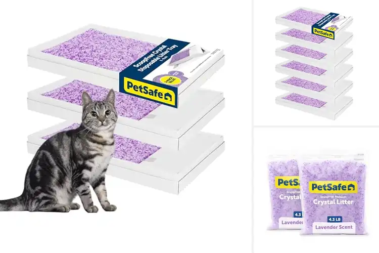 Detailed view of Best Lavender Scent Litter Box Refills