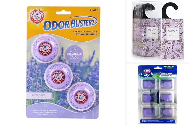Detailed view of Best Lavender Scented Deodorizers