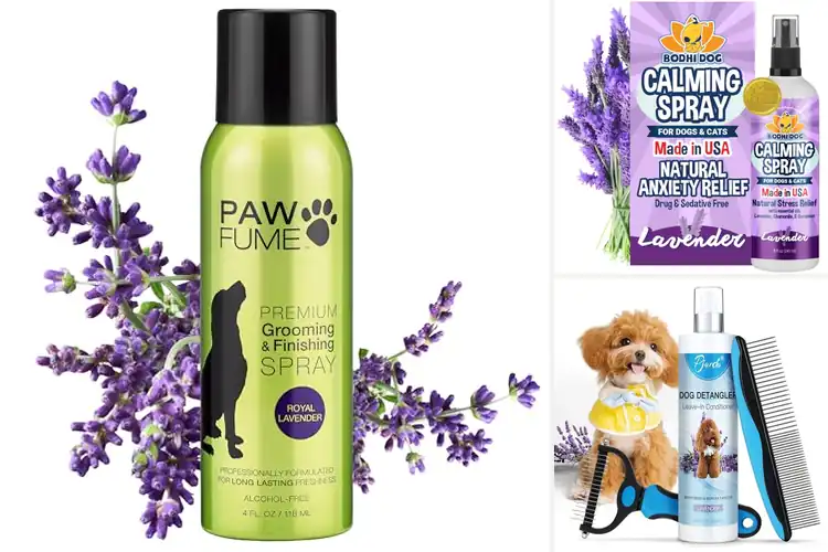 Detailed view of Best Lavender Scented Detangler For Dogs