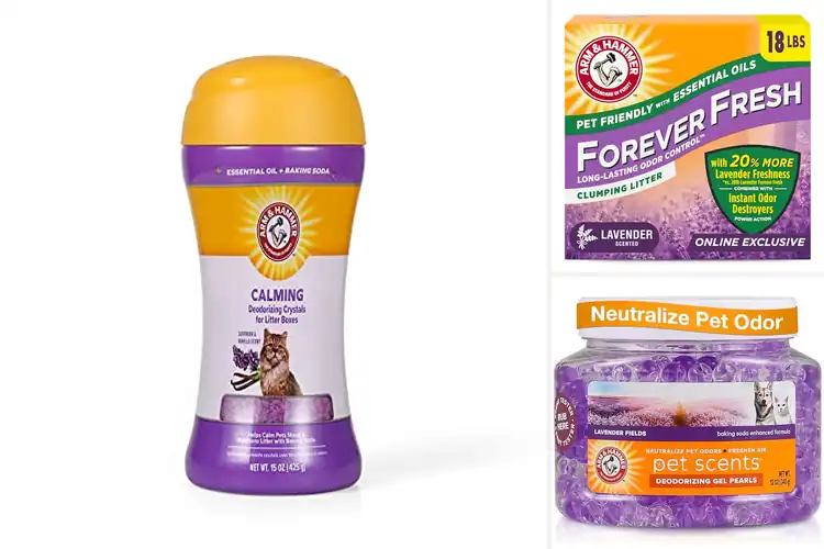 Detailed view of Best lavender-scented litter deodorizers