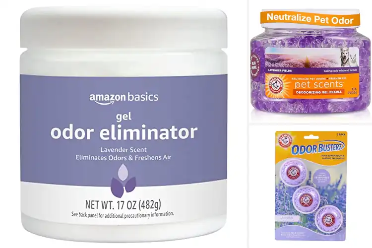 Detailed view of Best Lavender-Scented Odor Eliminators