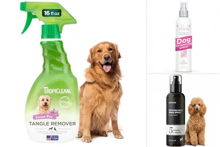 Detailed view of Best Leave In Conditioner For Doodle Coats