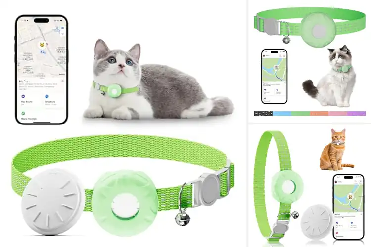 Detailed view of Best Light Green Cat GPS Tracker