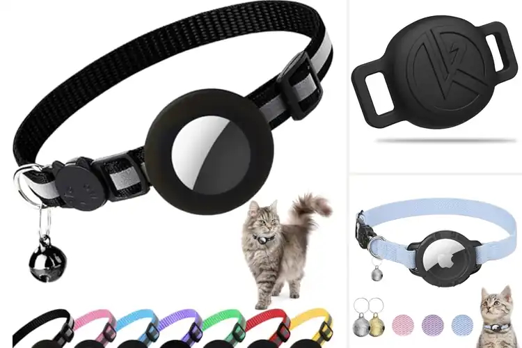 Detailed view of Best Lightweight Cat Collar Tracker
