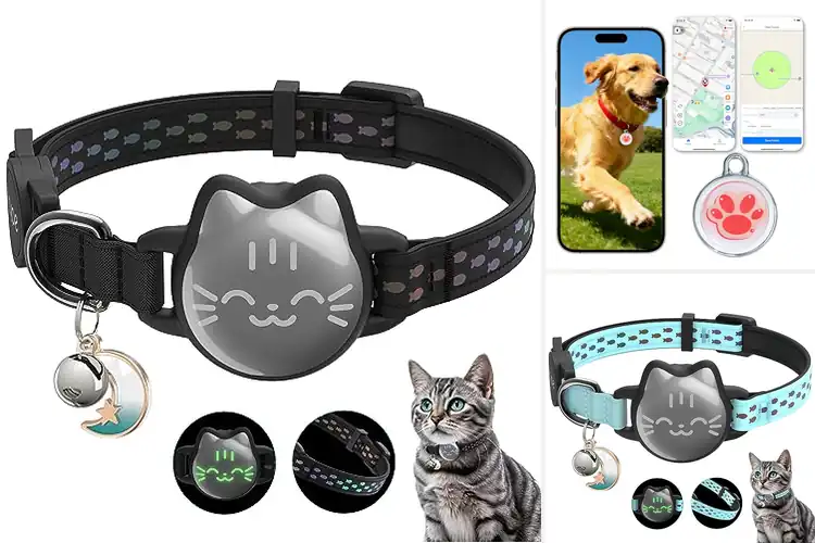 Detailed view of Best Lightweight Cat GPS Tags