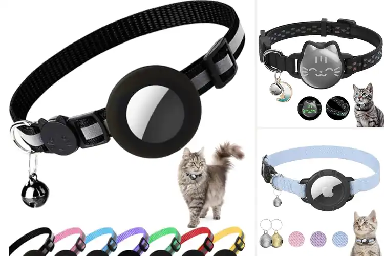 Detailed view of Best Lightweight Cat Tracker Collars