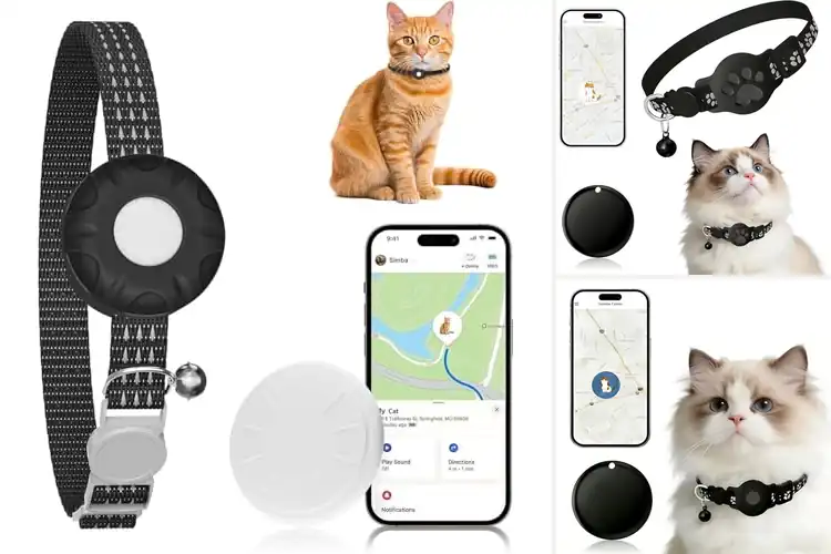 Detailed view of Best Lightweight Cat Tracker Under 0.3 Ounces
