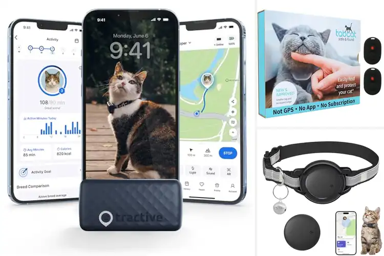 Detailed view of Best Lightweight Cat Trackers for Safe, Happy Pets
