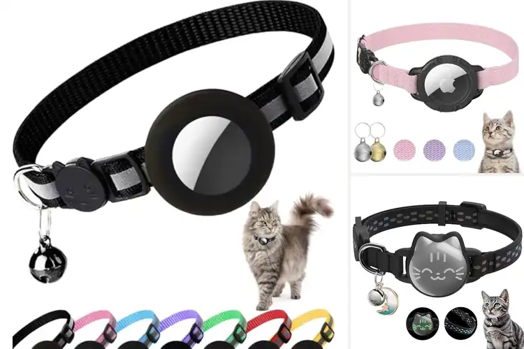 Detailed view of Best Lightweight Cat Tracking Collar