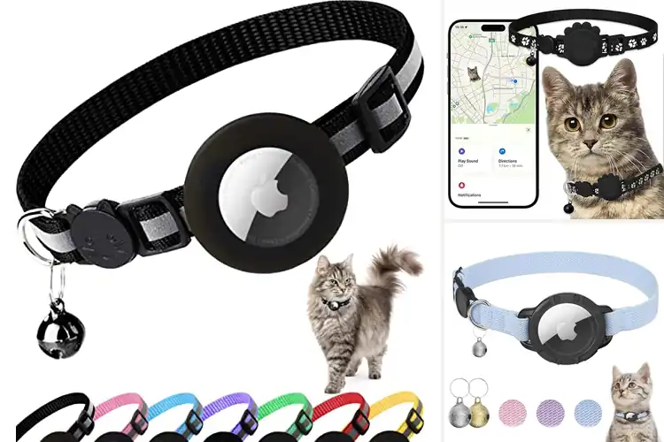 Detailed view of Best Lightweight Cat Tracking Collars