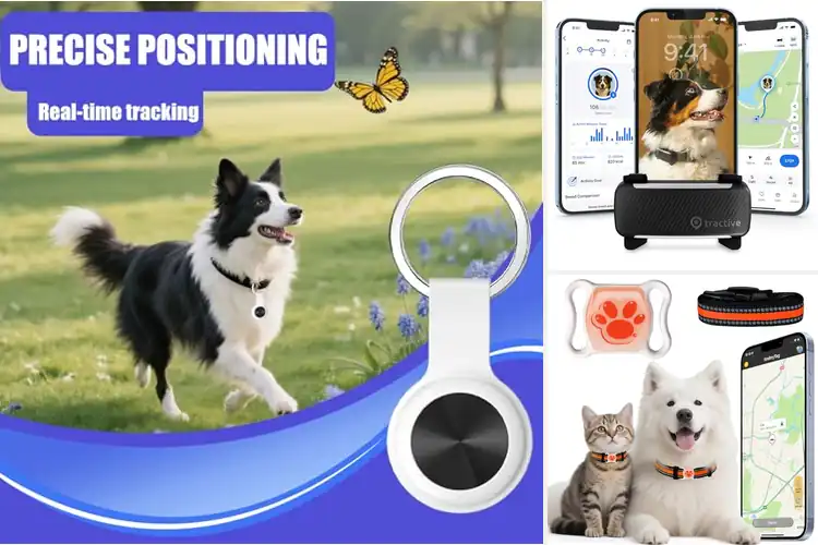 Detailed view of Best Lightweight Pet Trackers