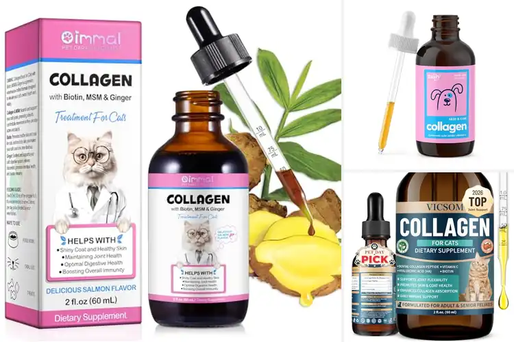Detailed view of Best Liquid Collagen For Cats